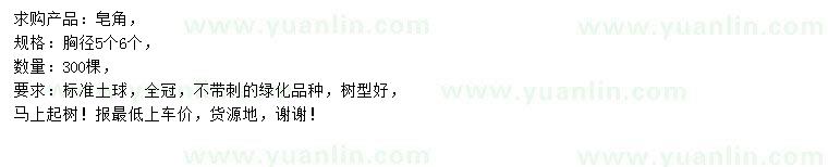 求購(gòu)胸徑5、6公分皂角