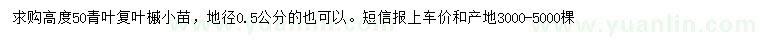 求購(gòu)高50公分青葉復(fù)葉槭