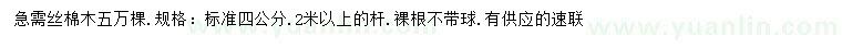 求購4公分絲棉木