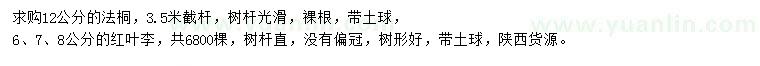 求購12公分法桐、6、7、8公分紅葉李