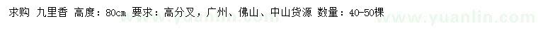 求購(gòu)高80公分九里香