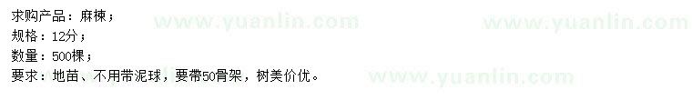 求購(gòu)12公分麻楝