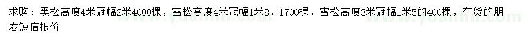 求購高4米黑松、高3、4米雪松