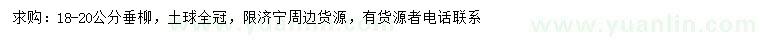 求購18-20公分垂柳