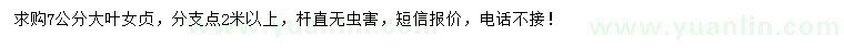 求購7公分大葉女貞