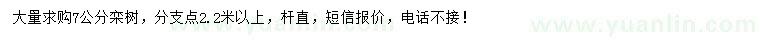 求購7公分欒樹
