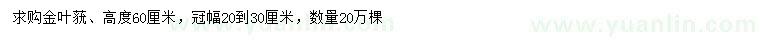 求購(gòu)高60公分金葉蕕