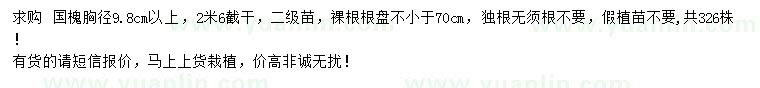 求購胸徑9.8公分以上國槐