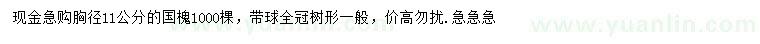 求購胸徑11公分國槐