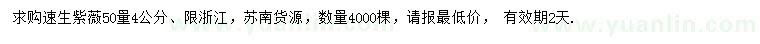 求購50量4公分速生紫薇