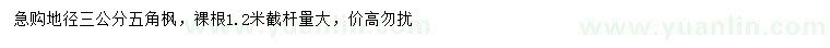 求購地徑3公分五角楓