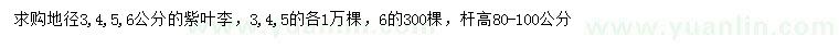 求購(gòu)地徑3、4、5、6公分紫葉李