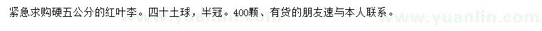 求購5公分紅葉李