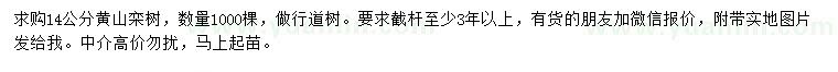 求購(gòu)14公分黃山欒樹