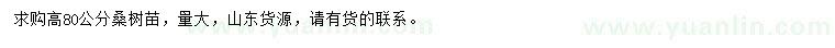 求購高80公分桑樹