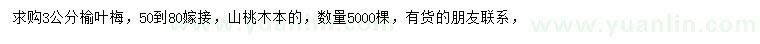 求購3公分榆葉梅