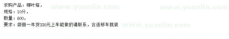 求購10公分柳葉榕