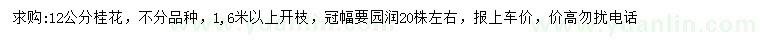 求購12公分桂花