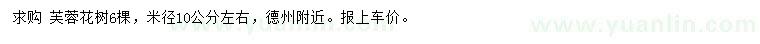 求購米徑10公分芙蓉花樹