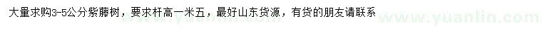 求購3-5公分紫藤