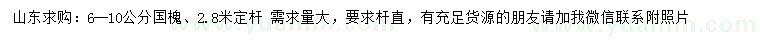 求購6-10公分國槐