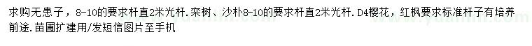 求購(gòu)無(wú)患子、欒樹(shù)、沙樸等