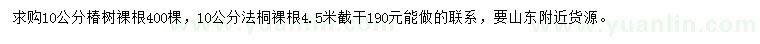 求購10公分椿樹、法桐