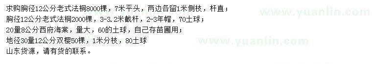 求購老式法桐、西府海棠、雙櫻