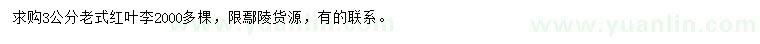 求購3公分老式紅葉李