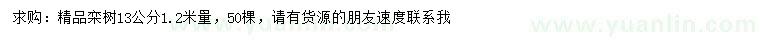 求購(gòu)1.2米量13公分欒樹(shù)