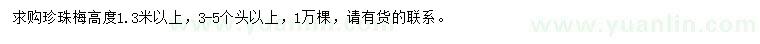 求購高1.3米以上珍珠梅