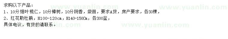 求購細葉欖仁、樟樹、陰香等