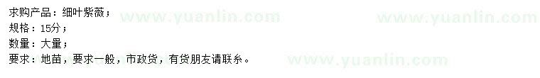 求購15公分細(xì)葉紫薇
