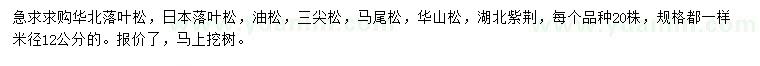 求購華北落葉松、日本落葉松、油松等