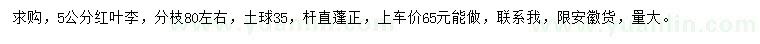 求購5公分紅葉李