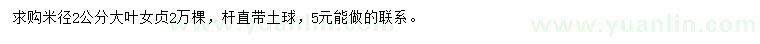 求購米徑2公分大葉女貞