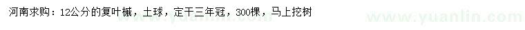 求購12公分復(fù)葉槭