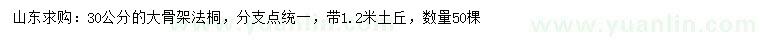 求購(gòu)30公分法桐