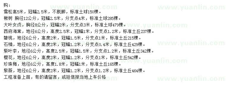 求購(gòu)雪松、楸樹、大葉女貞等
