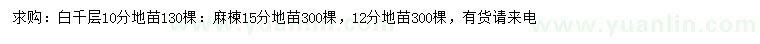 求購10公分白千層、12、15公分麻楝