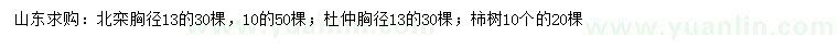求購北欒、杜仲、柿樹