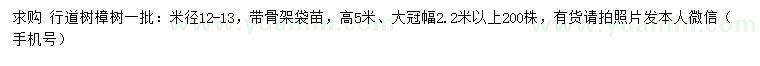 求購米徑12-13公分樟樹