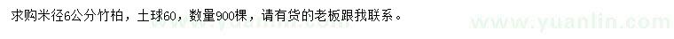 求購(gòu)米徑6公分竹柏
