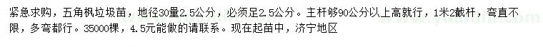 求購30量2.5公分五角楓