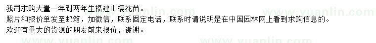 求購1-2年生福建山櫻花苗