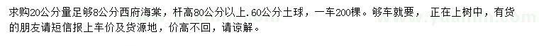 求購(gòu)20公分量足夠8公分西府海棠