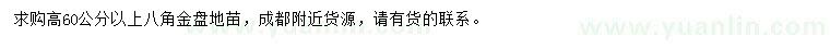 求購(gòu)高60公分以上八角金盤(pán)