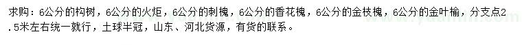 求購構樹、火炬、刺槐等
