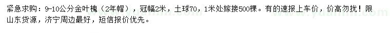 求購(gòu)9-10公分金葉槐