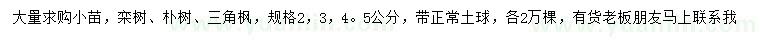 求購欒樹(shù)、樸樹(shù)、三角楓